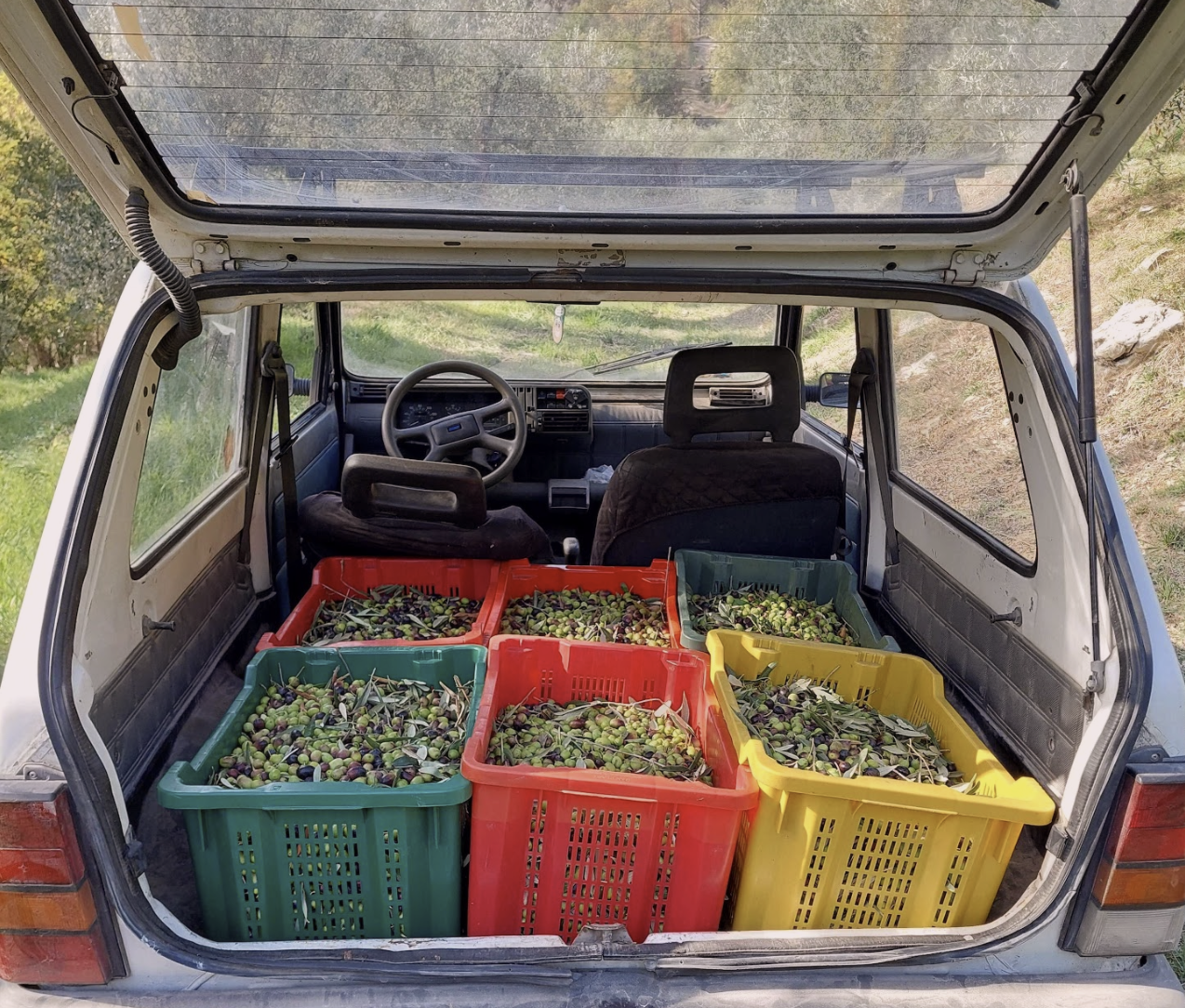 Our Extra Virgin Olive Oil